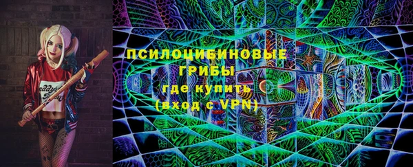 МДПВ Армянск